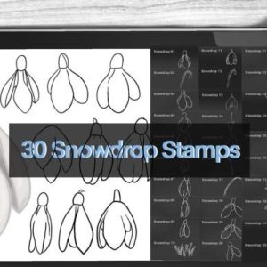 snowdrop Brushes Procreate Stamps