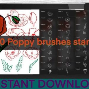 Poppy Brushes Procreate Stamps