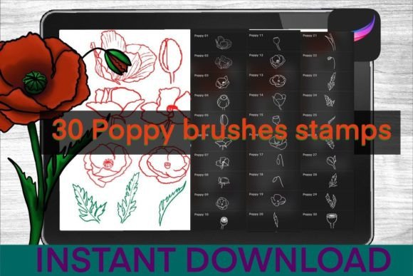 Poppy Brushes Procreate Stamps