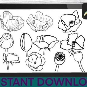 Poppy Brushes Procreate Stamps