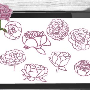 Peony Brushes Procreate Stamps