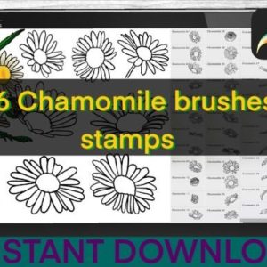Chamomile Brushes Procreate Stamps