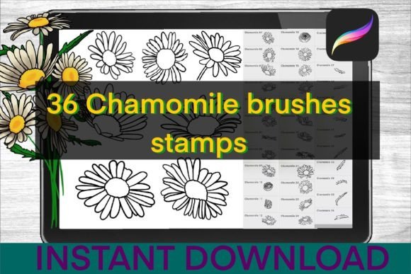 chamomile brushes procreate stamps graphics 34735164 1 1 580x387 1