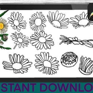 Chamomile Brushes Procreate Stamps