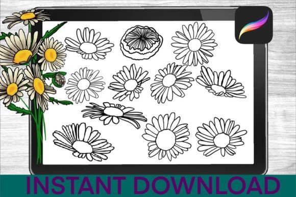 chamomile brushes procreate stamps graphics 34735164 3 580x387 1