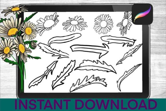 chamomile brushes procreate stamps graphics 34735164 4 580x387 1