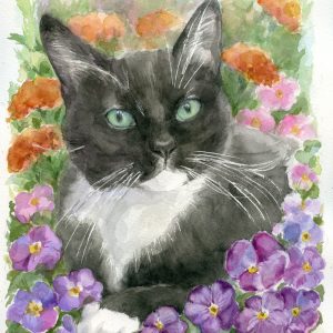 black cat with pansies and marygolds