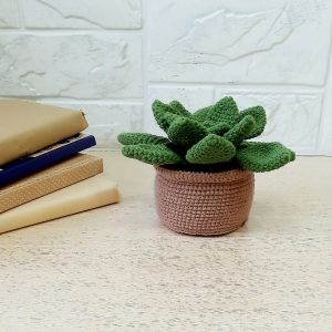 Handmade Marketplace 497 Succulent flower in pot. Knitted flower gift for her.