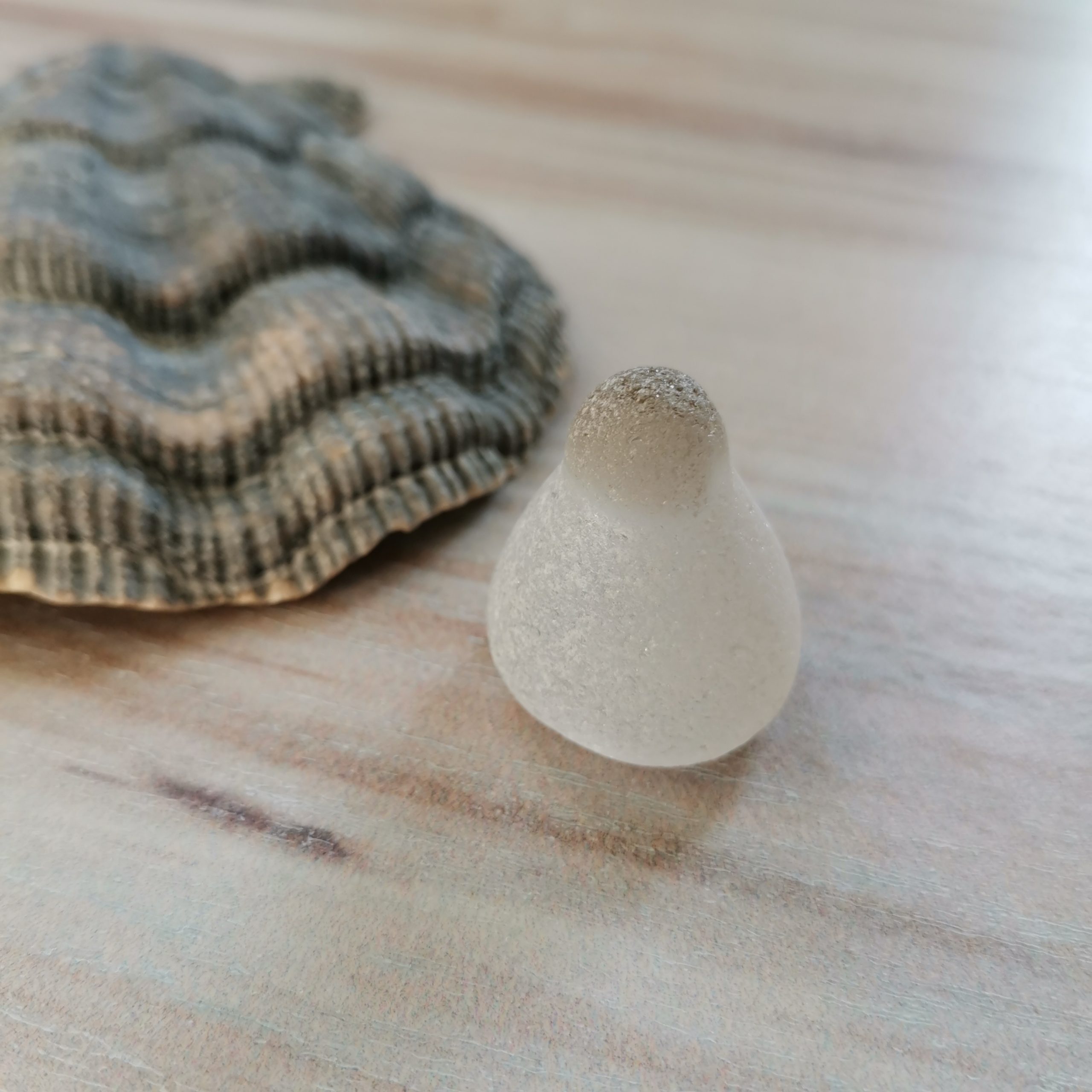 White genuine sea glass cone with gray tip WT27