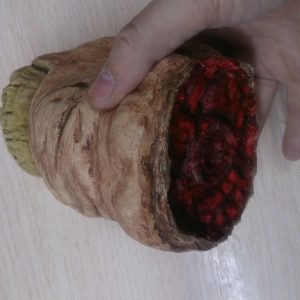 Giant’s Toe Skyrim Trophy for fast travel (soft latex handmade Ingredient from TES)
