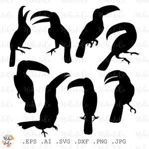 Toucan Bird Svg Cricut