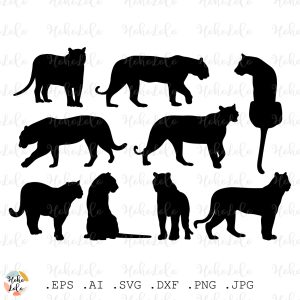 Tiger Svg Leopard Puma