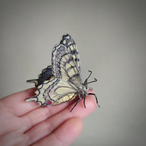 Swallowtail butterfly brooch from polymer clay