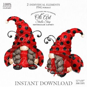 Gnome ladybug clipart, Cute characters. PNG