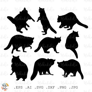 Raccoon Svg Cricut Silhouette