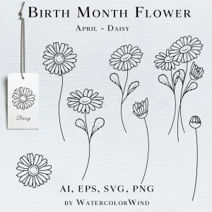 Daisy Birth Month Flower Line Vector Illustrations