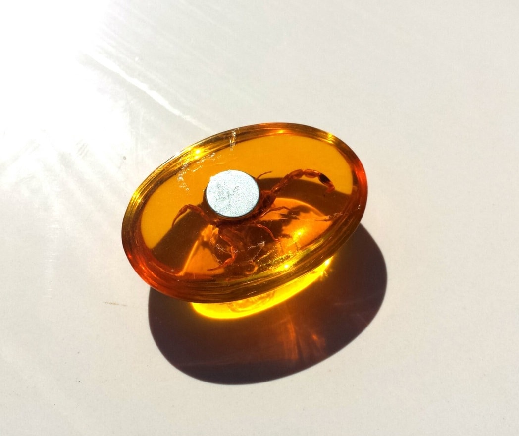oval amber yellow epoxy resin for making jewelry cabochon with a real scorpion insect inside, with a magnet, can be broadcast on the refrigerator or as a home decor dedraimum