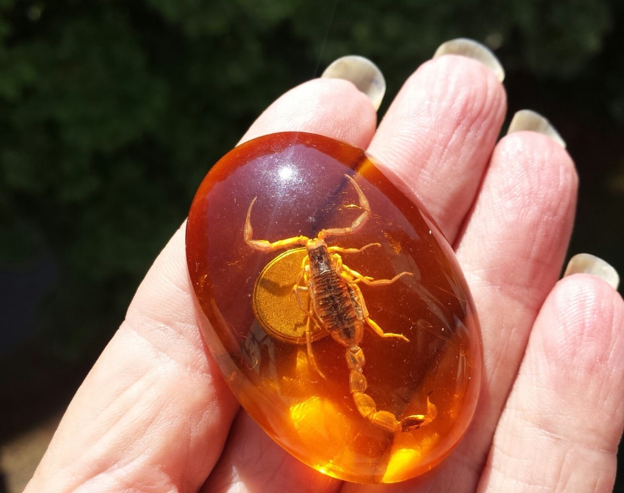 amber yellow epoxy resin cabochon real scorpion insect inside magnet fridge home decor cute scorpion birthday gift christmas gift for kid amulet cabochon jewelry making