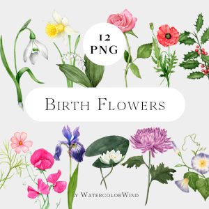 Birth Month Flowers Watercolor Clipart set