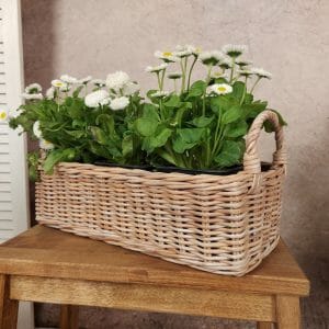 wicker flowers basket