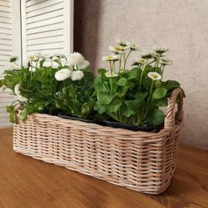 wicker flowers basket