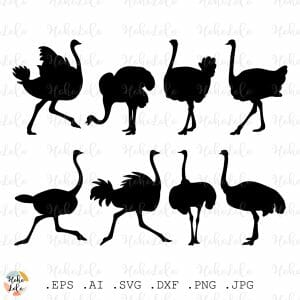 Ostrich Svg Silhouette Cameo