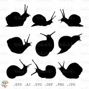 Snail Svg Cricut Free Silhouette