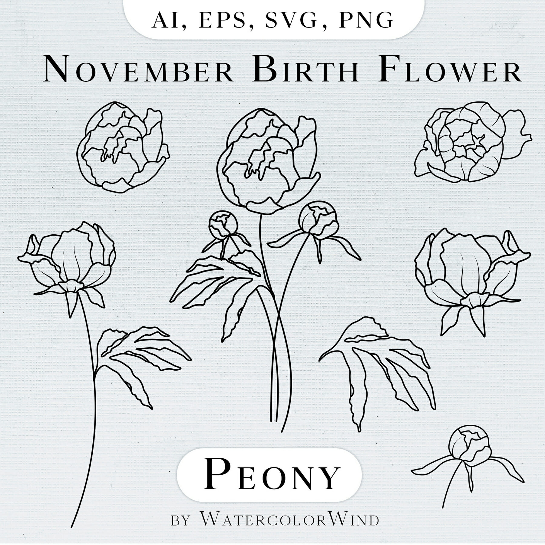 Peony november birth month flower line vector illustrations