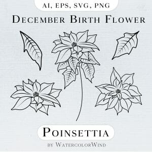 Handmade Marketplace 524 Poinsettia Birth Month Flower Line Vector Illustrations
