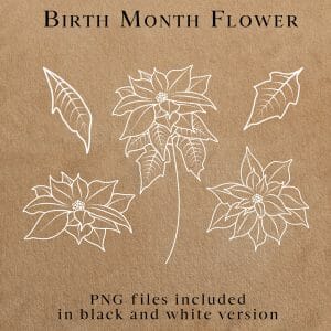 Handmade Marketplace 525 Poinsettia Line illustrations in PNG black and white version