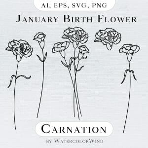 Carnation birth month flower line illustration