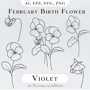 Violet February Birth Month Flower