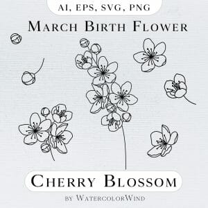 Cherry Blossom Marcj birth month flower line illustration