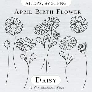 Daisy April Birth Month Flower line illustrations