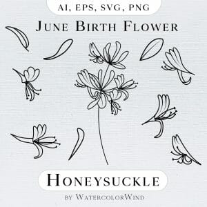 Honeysuckle birth month flower line illustrations