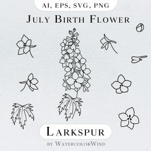 Larkspur Birth Month Flower Line Illustrations