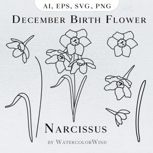 Narcissus December Birth Flower Line Illustrations