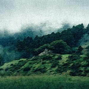 Painting - " Morning fog '' .
