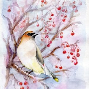 waxwing bird sitting on a tree
