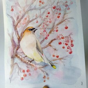 Waxwing Cute Songbird Watercolor Painting 8×10