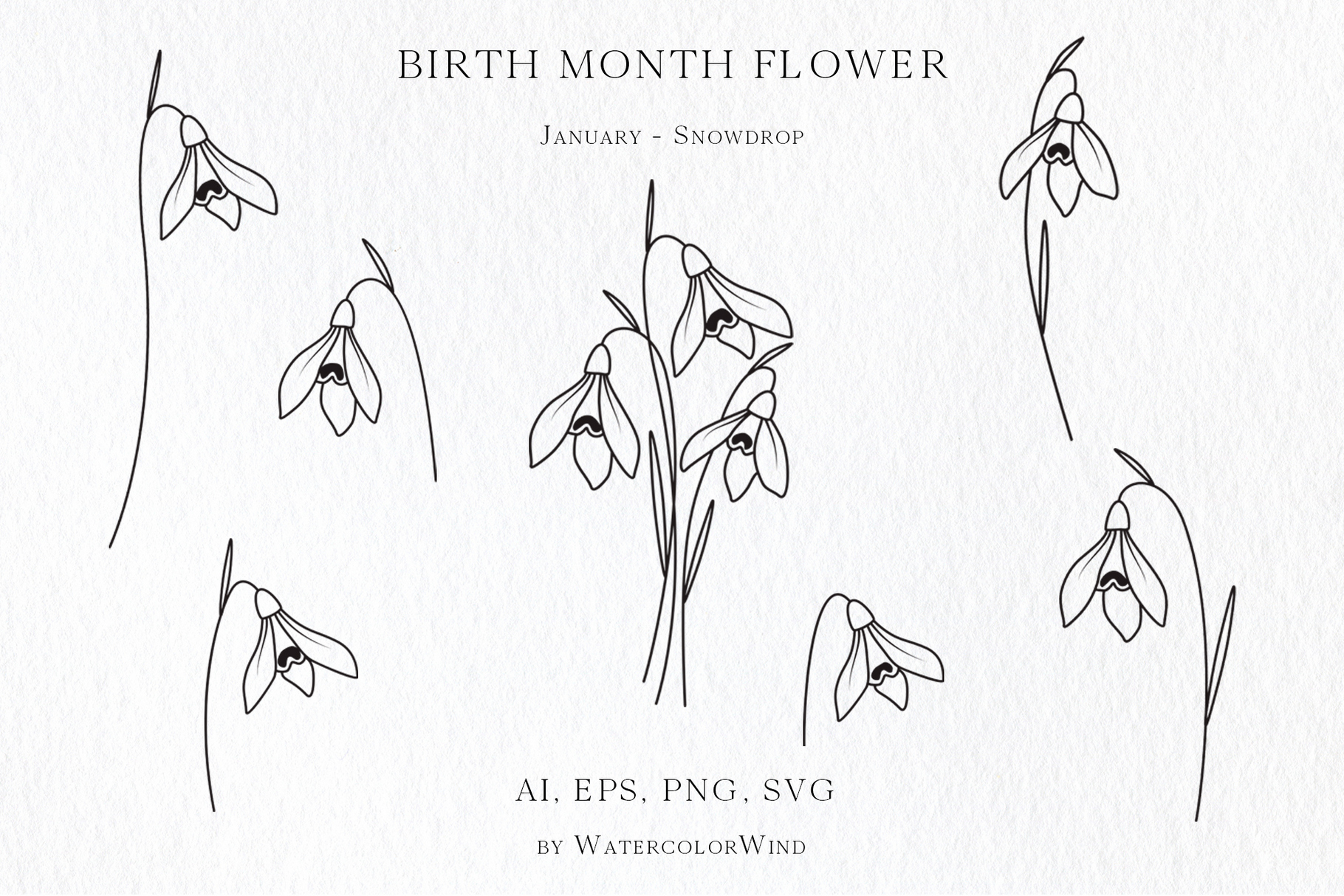25 Birth Month Flowers Bundle Vector Illustrations 19 Snowdrop birth month flower