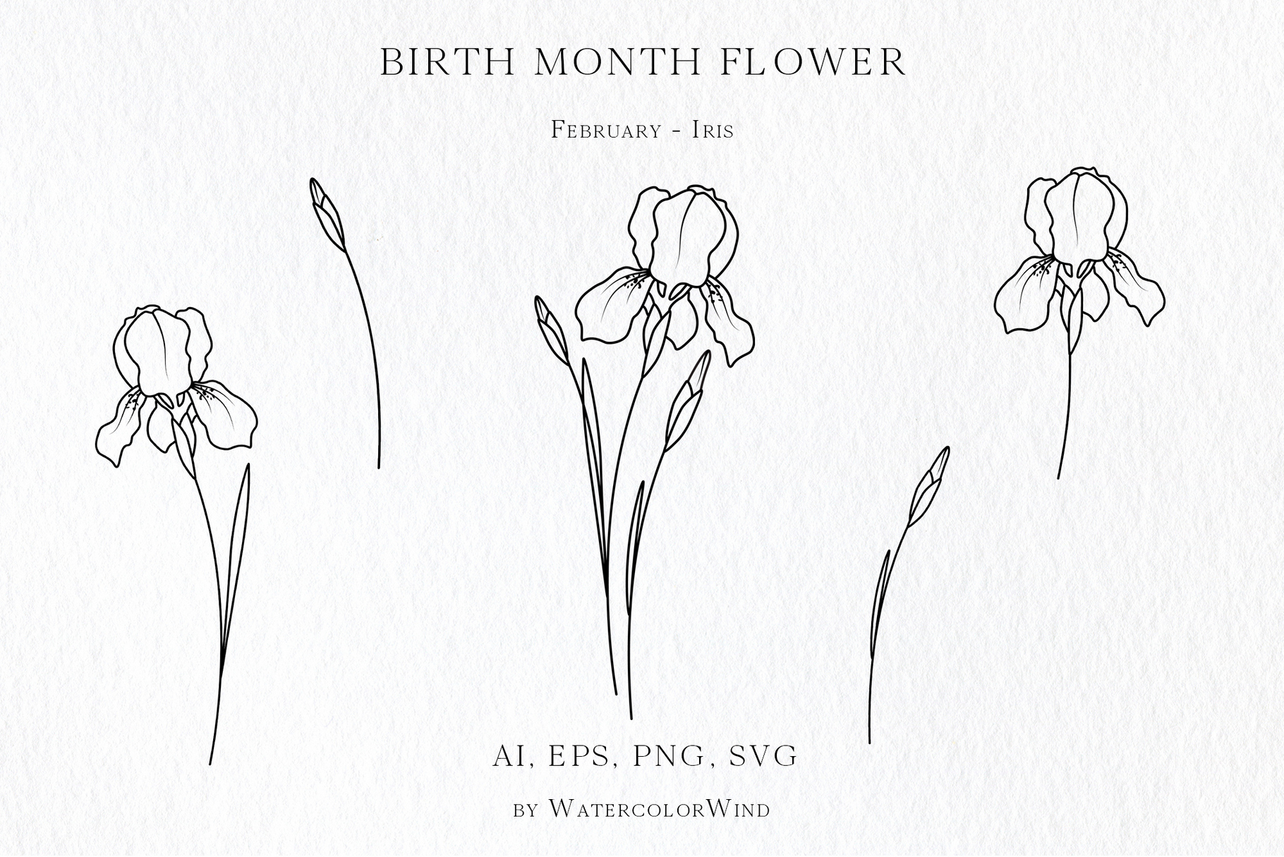 25 Birth Month Flowers Bundle Vector Illustrations 20 25 Birth Month Flowers Bundle Vector Illustrations - Image 20