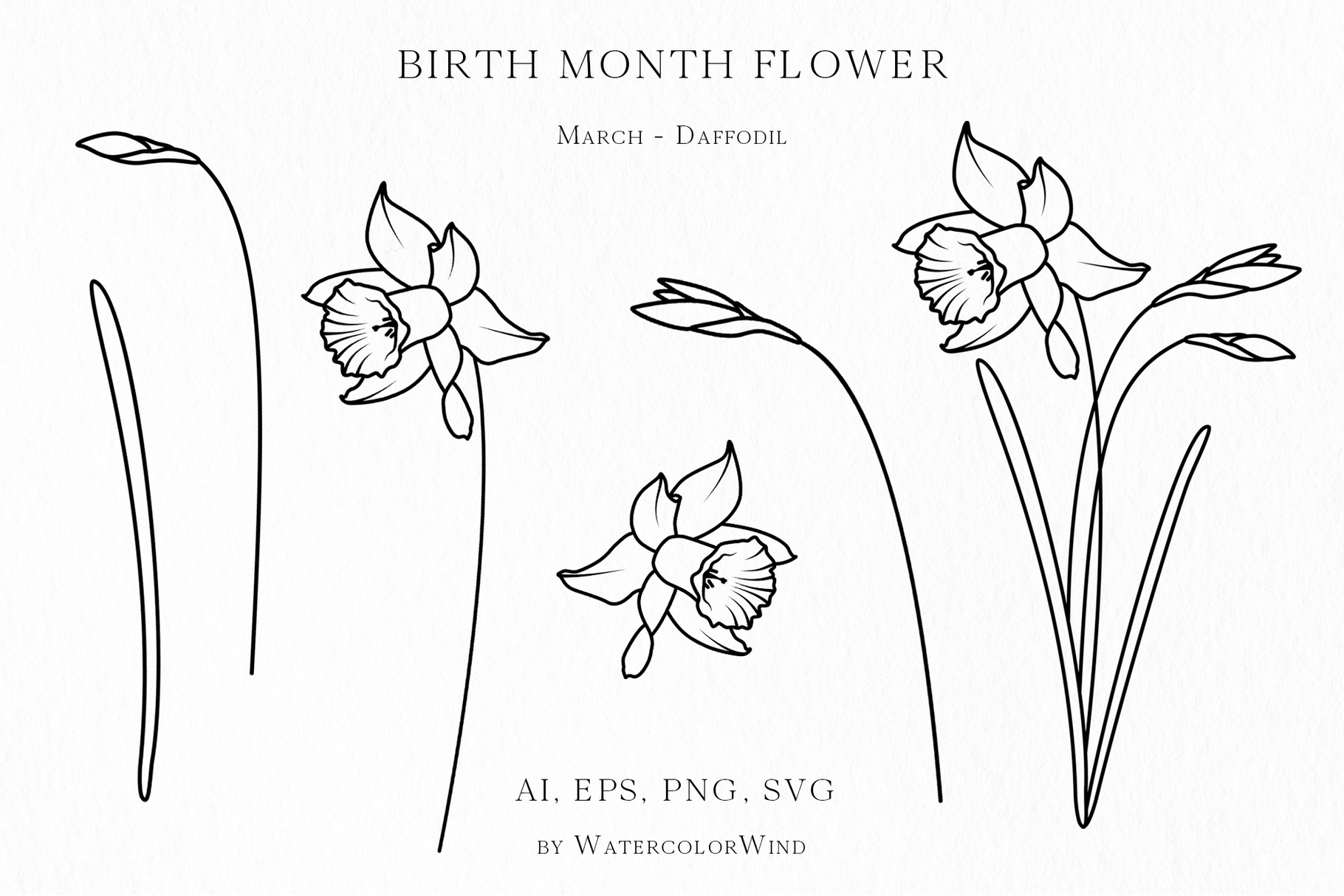 25 Birth Month Flowers Bundle Vector Illustrations 21 25 Birth Month Flowers Bundle Vector Illustrations - Image 21