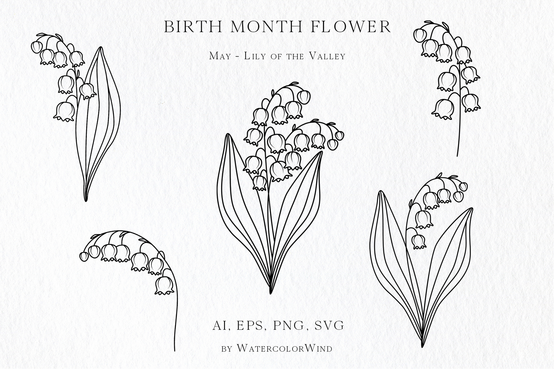 25 Birth Month Flowers Bundle Vector Illustrations 23 25 Birth Month Flowers Bundle Vector Illustrations - Image 23