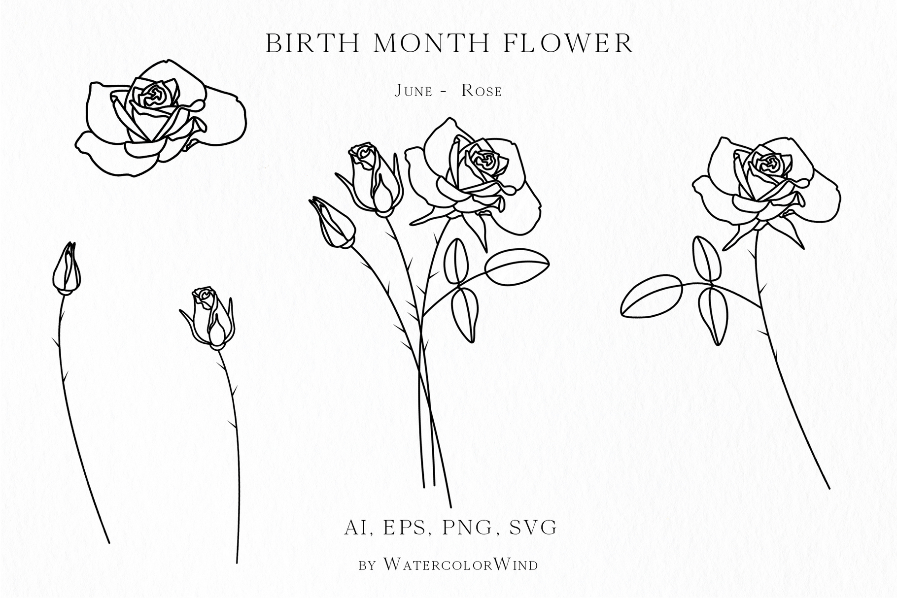 25 Birth Month Flowers Bundle Vector Illustrations 24 25 Birth Month Flowers Bundle Vector Illustrations - Image 24