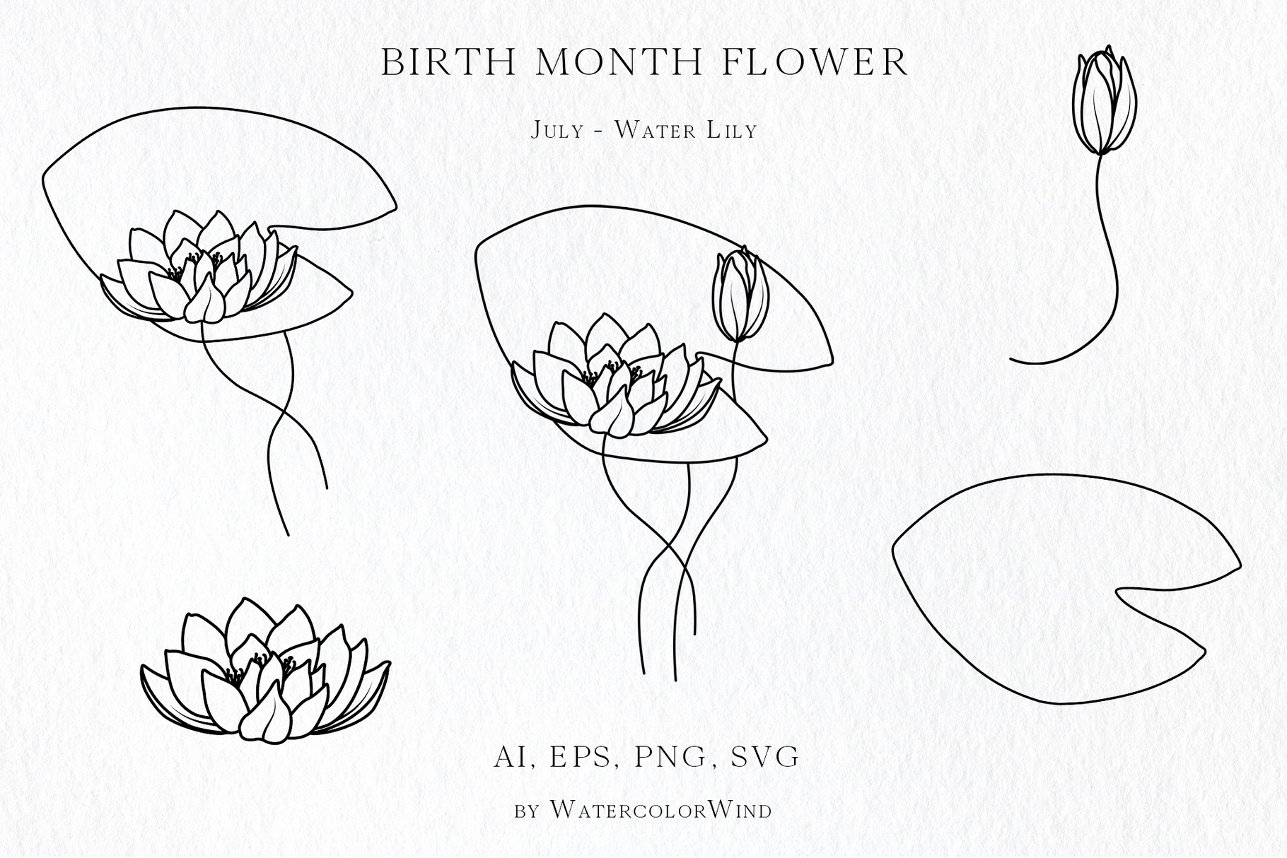 25 Birth Month Flowers Bundle Vector Illustrations 25 25 Birth Month Flowers Bundle Vector Illustrations - Image 25