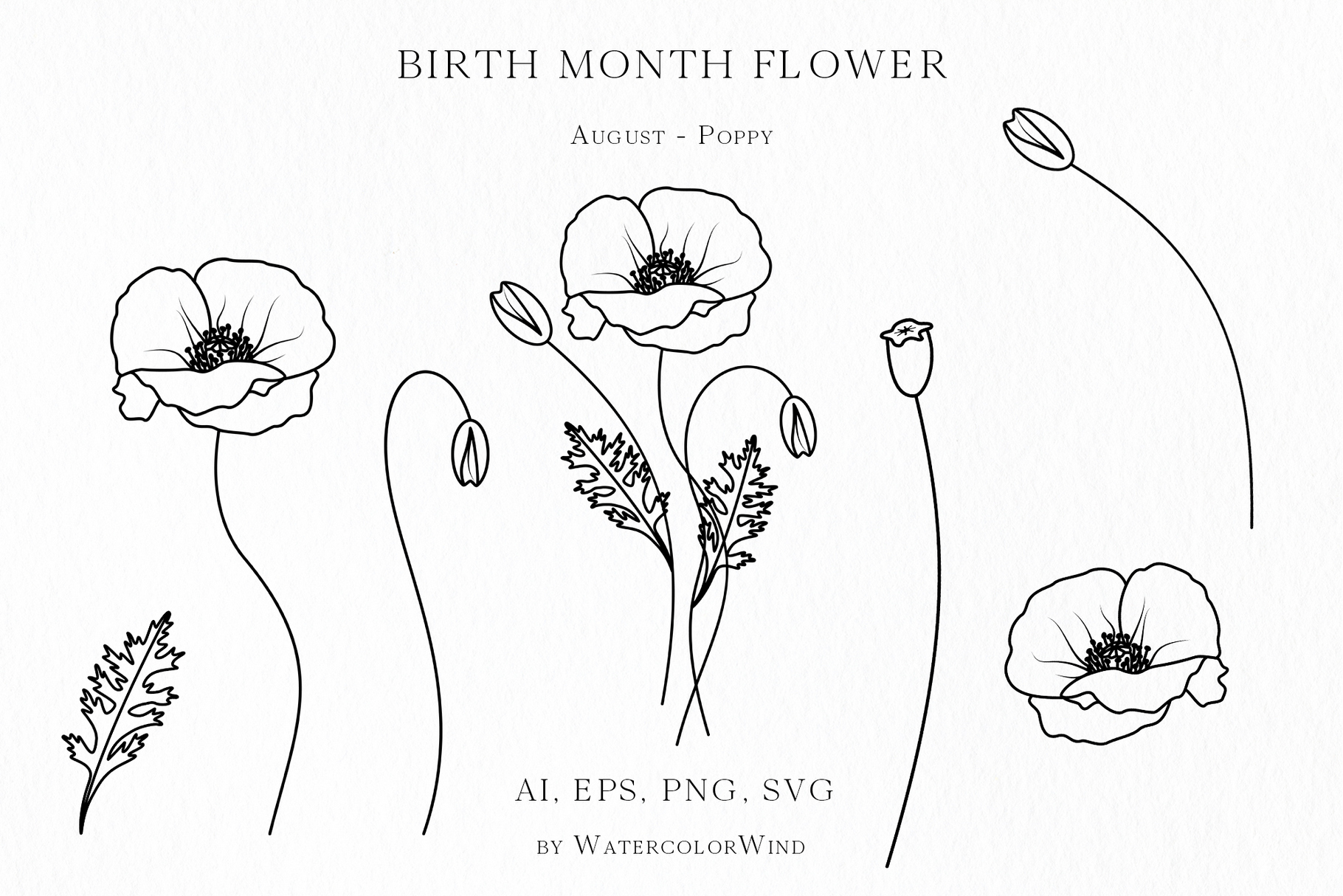 25 Birth Month Flowers Bundle Vector Illustrations 26 25 Birth Month Flowers Bundle Vector Illustrations - Image 26