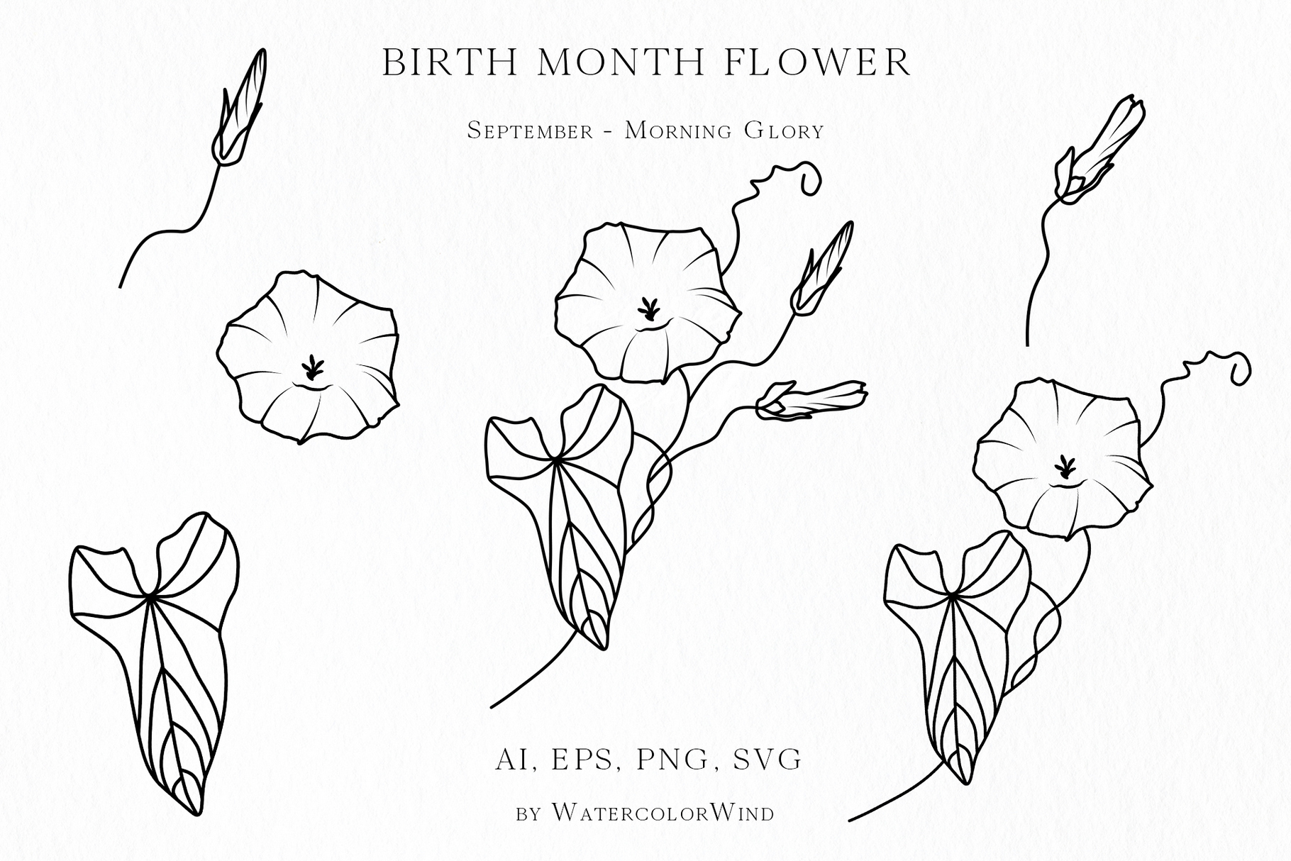 25 Birth Month Flowers Bundle Vector Illustrations 27 25 Birth Month Flowers Bundle Vector Illustrations - Image 27