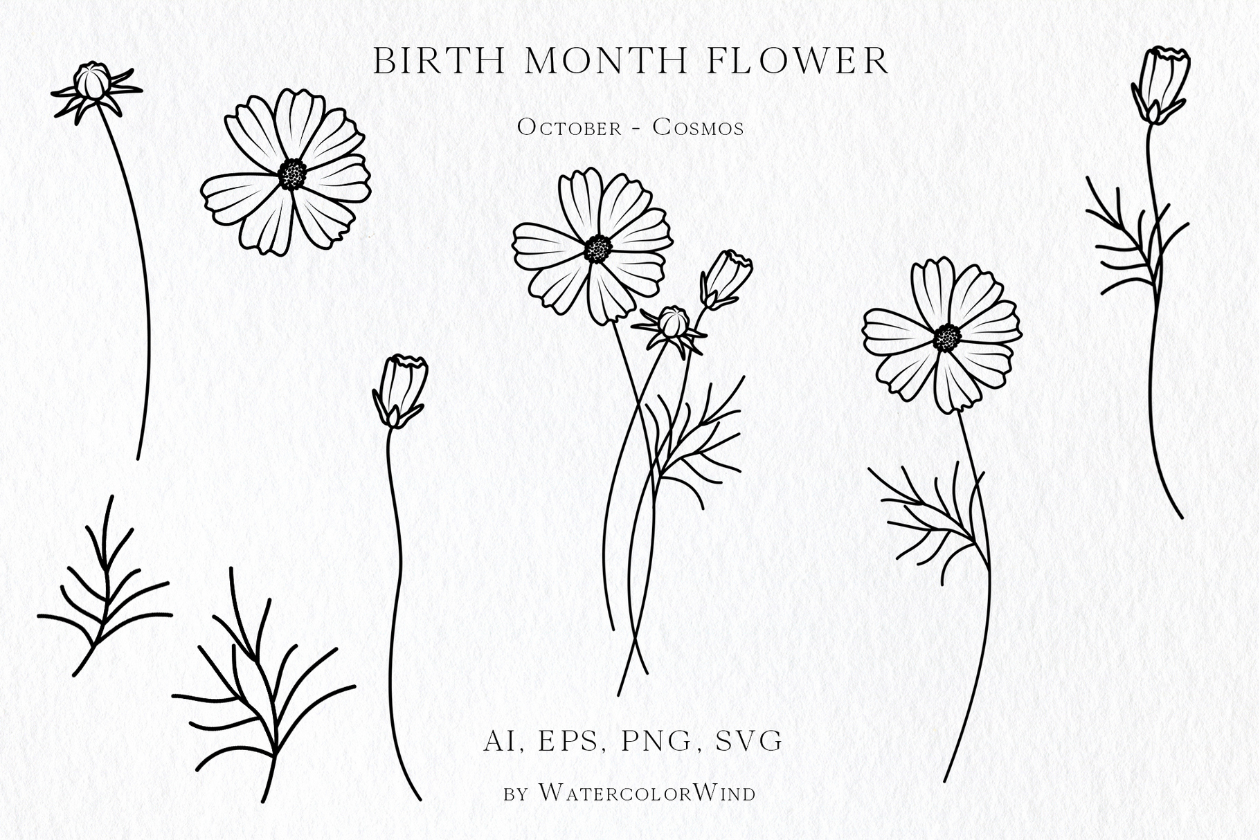 25 Birth Month Flowers Bundle Vector Illustrations 28 25 Birth Month Flowers Bundle Vector Illustrations - Image 28