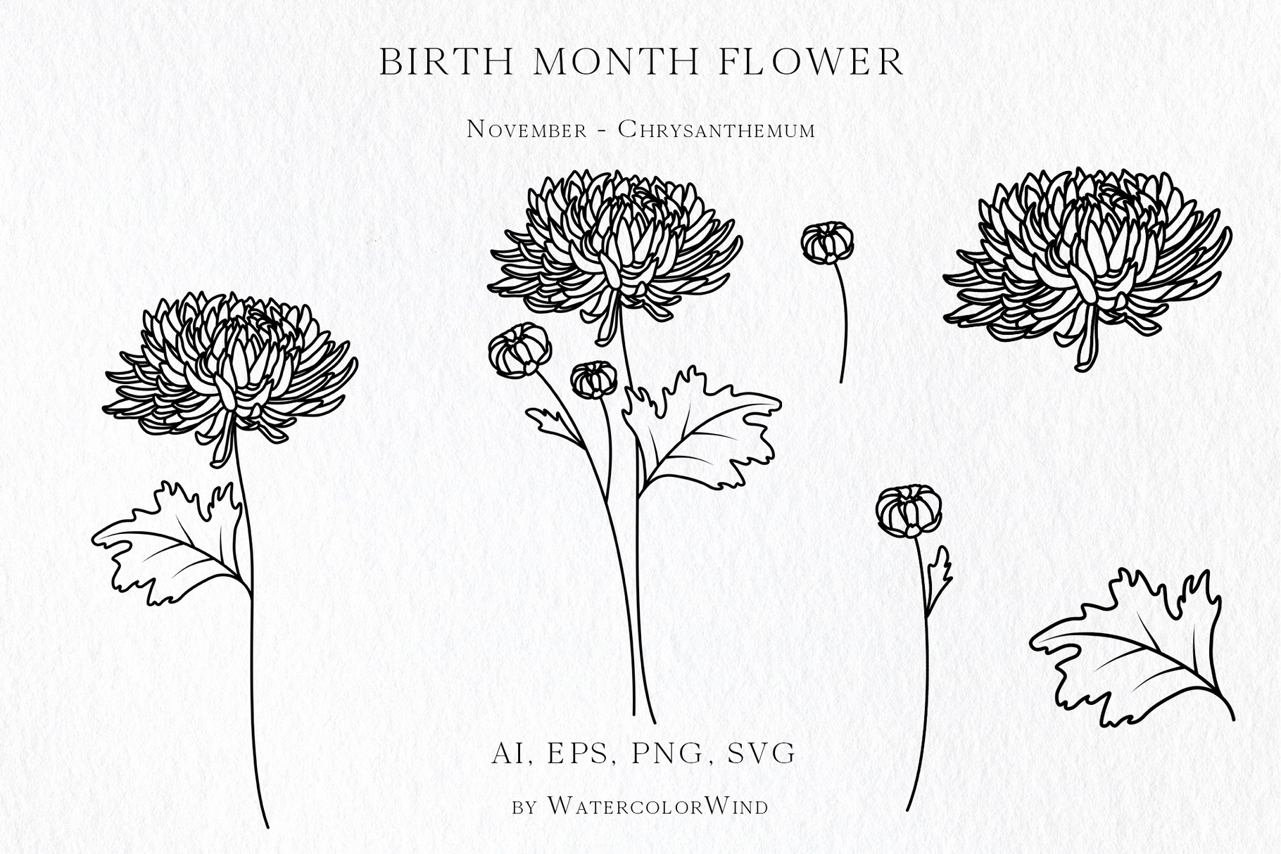25 Birth Month Flowers Bundle Vector Illustrations 29 25 Birth Month Flowers Bundle Vector Illustrations - Image 29